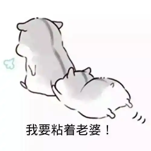 逗老婆开心的qq表情