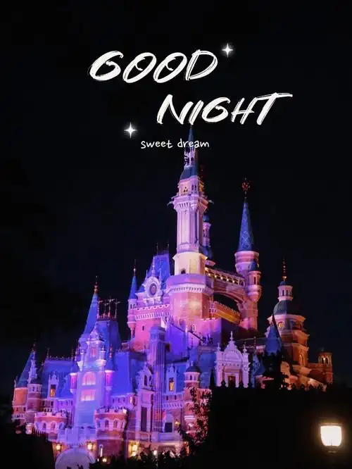 拍了一些迪士尼城堡壁纸
