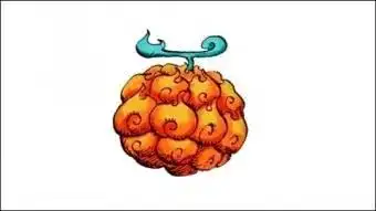 海贼王中的这些恶魔果实,你都认识吗?