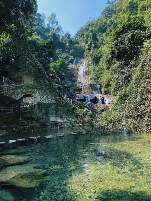 砚洲岛(肇庆鼎湖砚洲岛)-伯乐百科