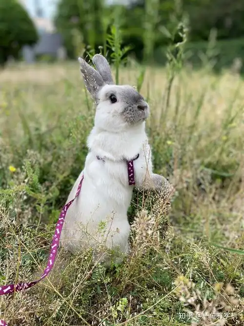 求真实回答? - 知乎