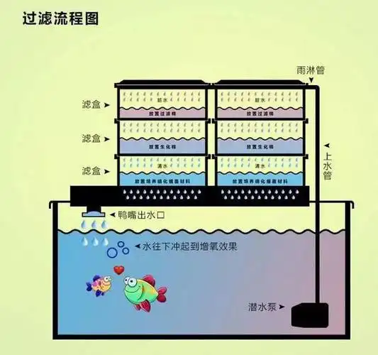 鱼缸过滤系统原理及种类,如何选择,是否造景——上篇 - 泡泡水族