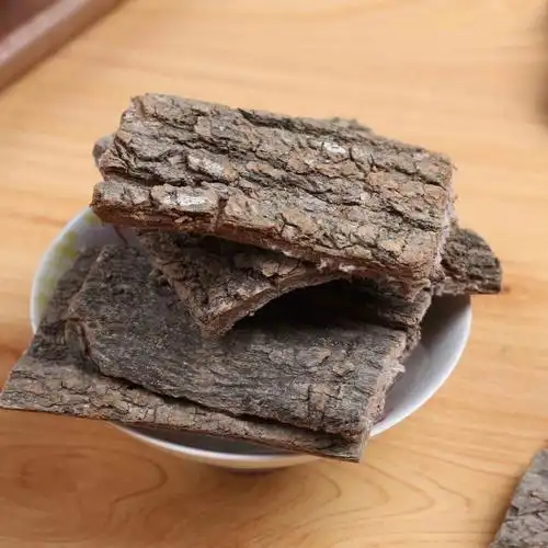 杜仲功效作用_功效杜仲作用与主治_的功效与作用杜仲