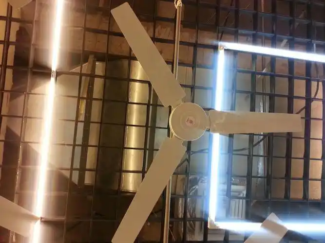 背面广告:三角牌吊扇】