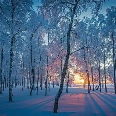 唯美雪景头像美丽的冬季风光雪景做头像真是不错的