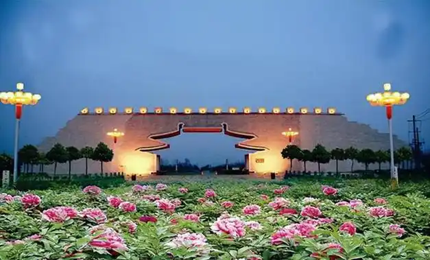 公园|牡丹园|植物园|中国国花园_网易订阅