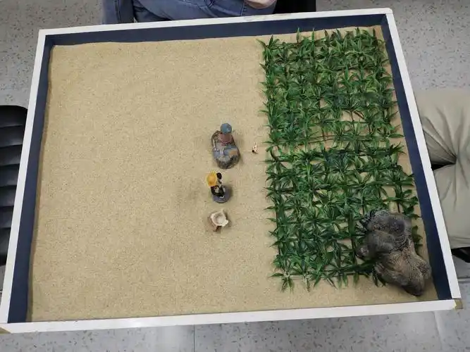 体验式团体沙盘游戏规则:有规则无主题,每轮可以拿n个沙具,只能摆放一