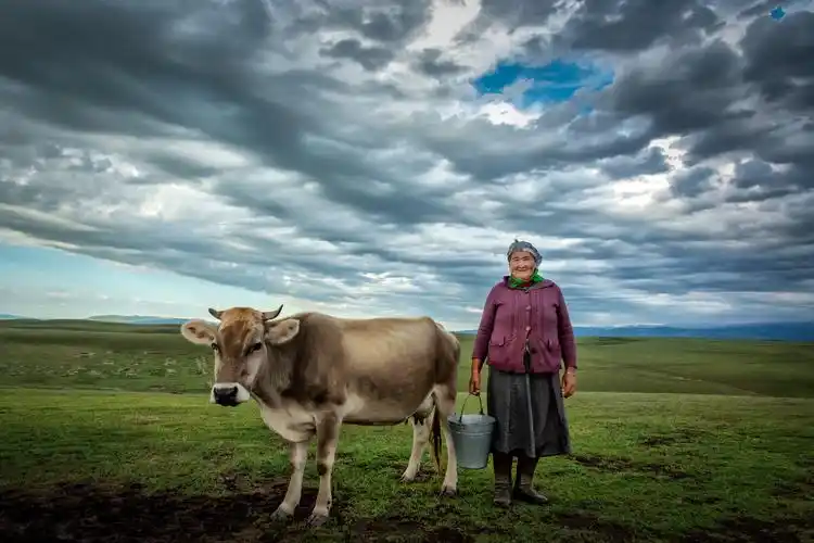 新疆哈萨克族牧民逍遥子高远关注