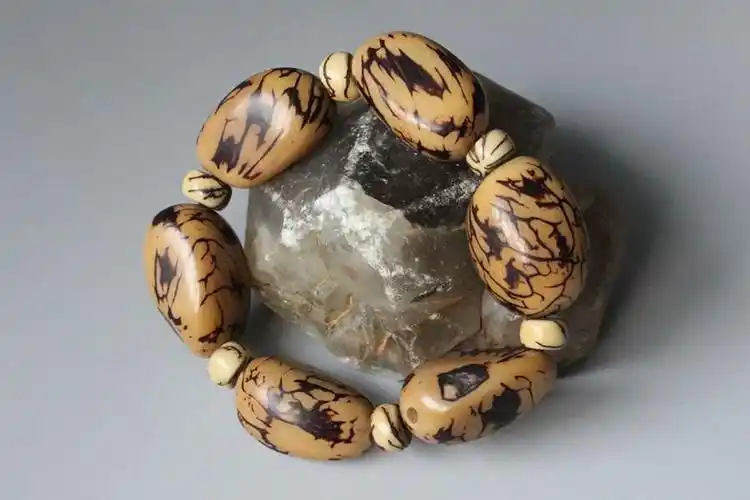 象牙果手串 -五德玉-收藏网