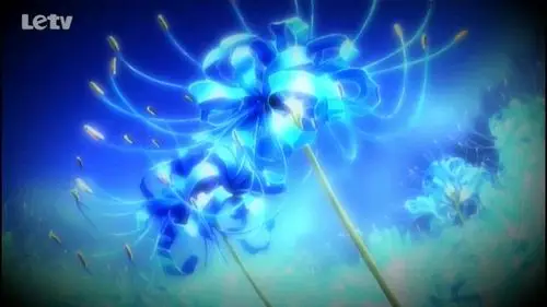 曼珠沙华图片,要600×800像素的(动漫),谢谢!