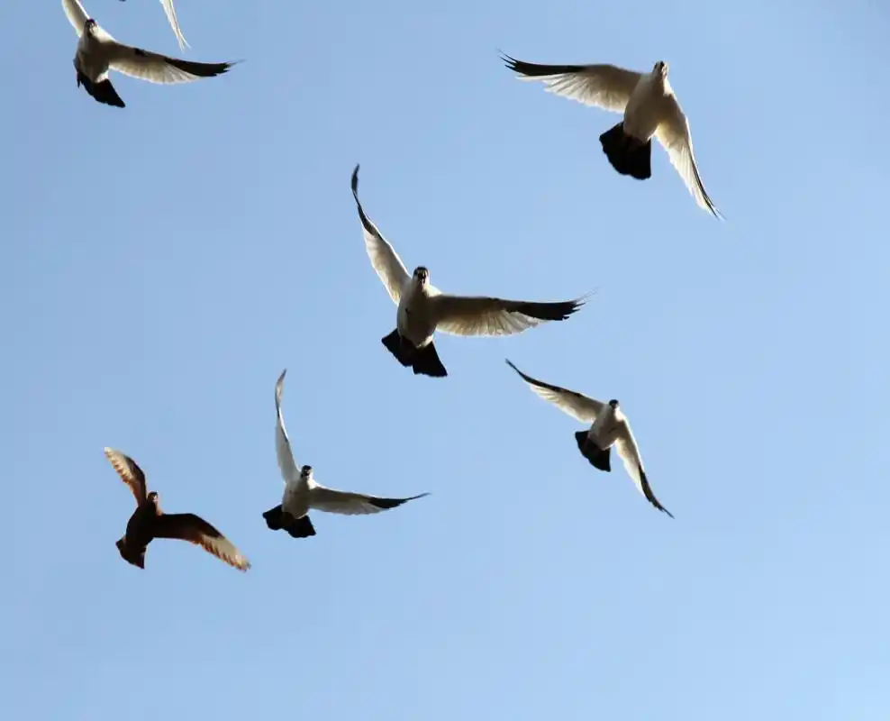 春节你们给亲戚朋友孩子多少压岁钱?多大岁数才不给?