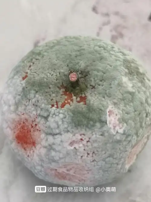 发霉的橘子