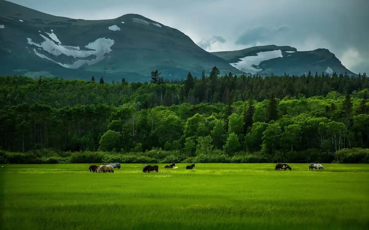 绿色山川高清美景,高清图片,电脑桌面-壁纸族