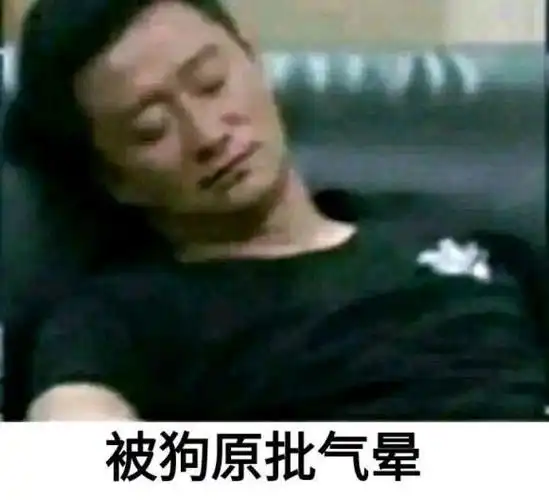 吴京被气晕表情包