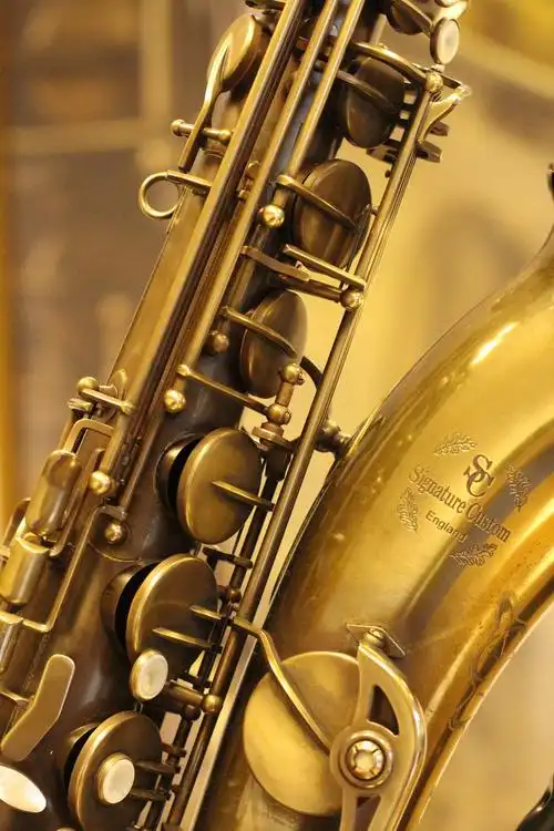 brasssaxophoneincloseupphotography图片