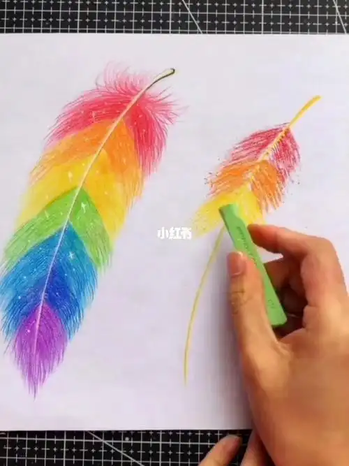 关于色彩的羽毛简笔画