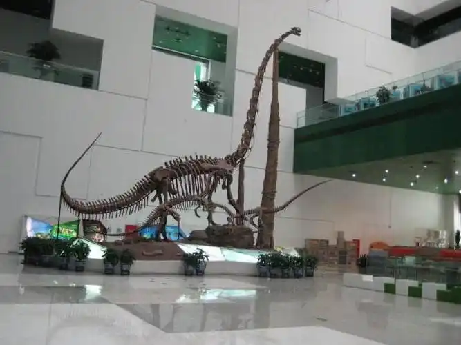 3,中国双脊龙,长7米,高2.45米,生长于中生代早侏罗纪,距今1.