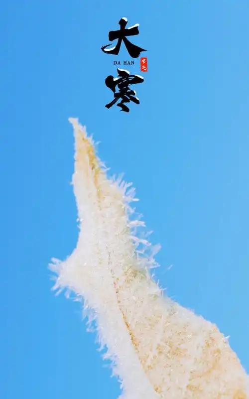 二十四节气之大寒1440x900分辨率查看