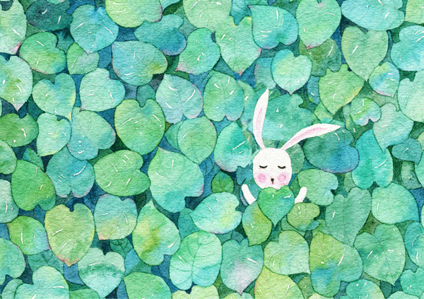 在那一汪迷蒙的森林里