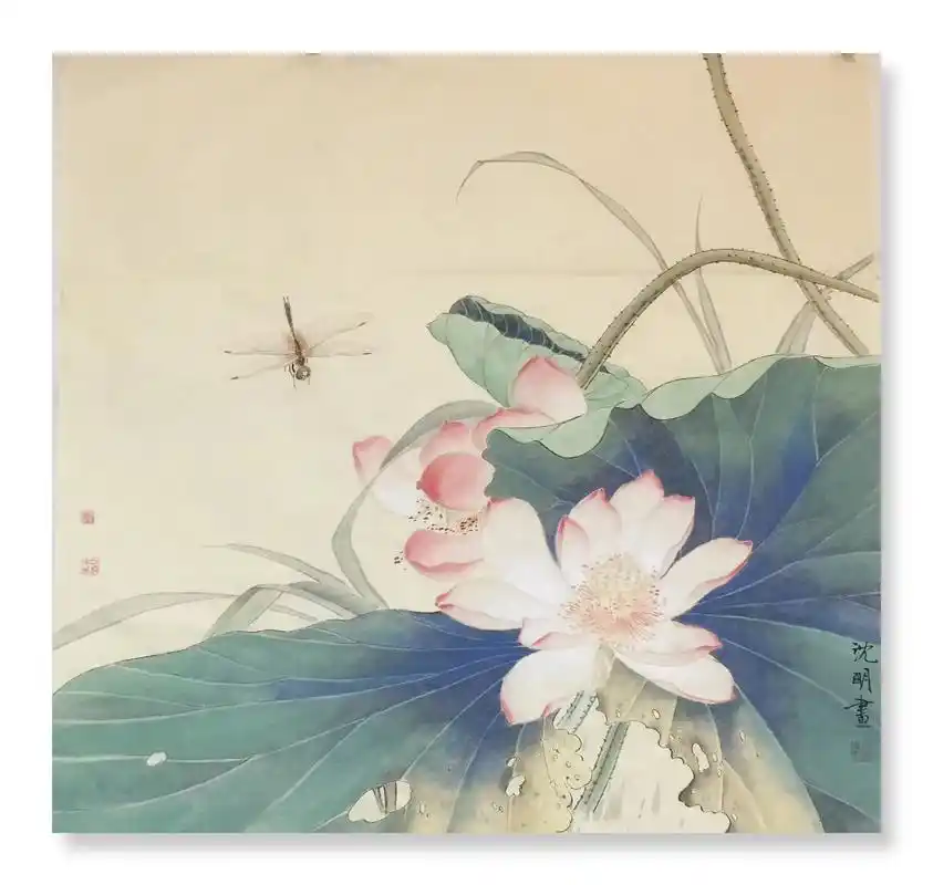 荷花蜻蜓#工笔花鸟 #国画艺术 #字画收藏 #原创绘画 #荷 - 抖音