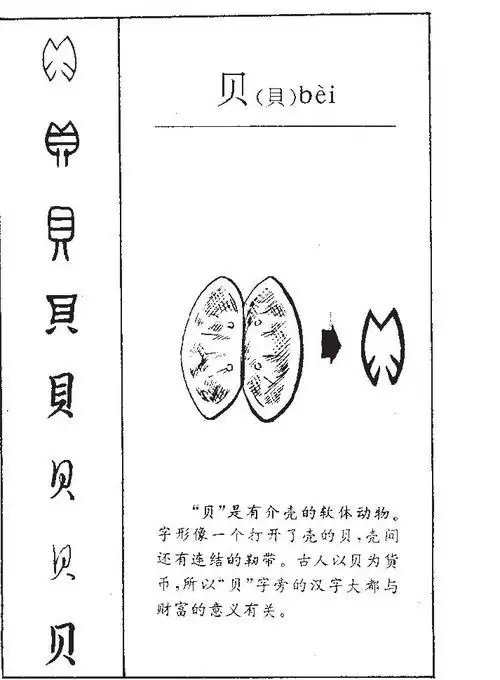 贝怎么读_贝组词_贝读音_贝笔顺_贝拼音_贝笔画_贝什么意思_贝繁体字