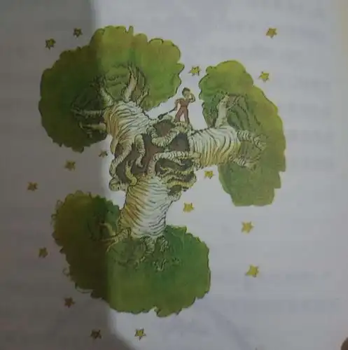 《小王子》经典名著分享 ——内在你的对话!