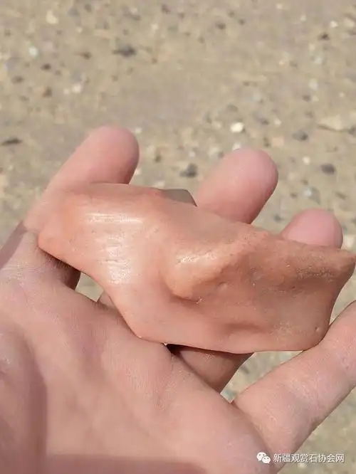 新疆罗布泊腹地的戈壁珍宝——蛋白石