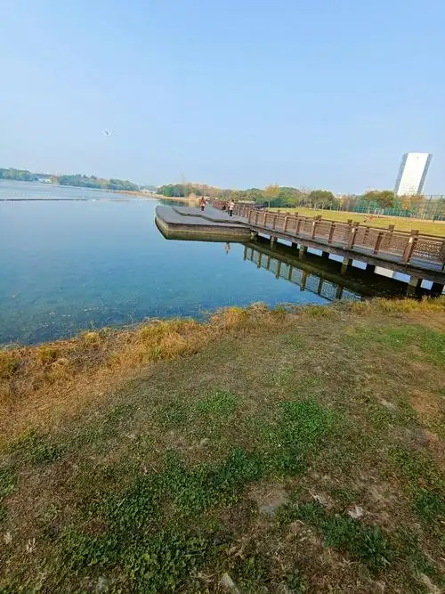 无锡渤公岛生态公园