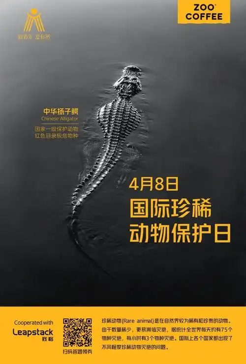 国际珍稀动物保护日拒绝杀戮与自然共生