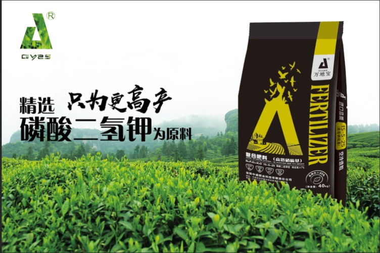 茶树施什么茶树复合肥好