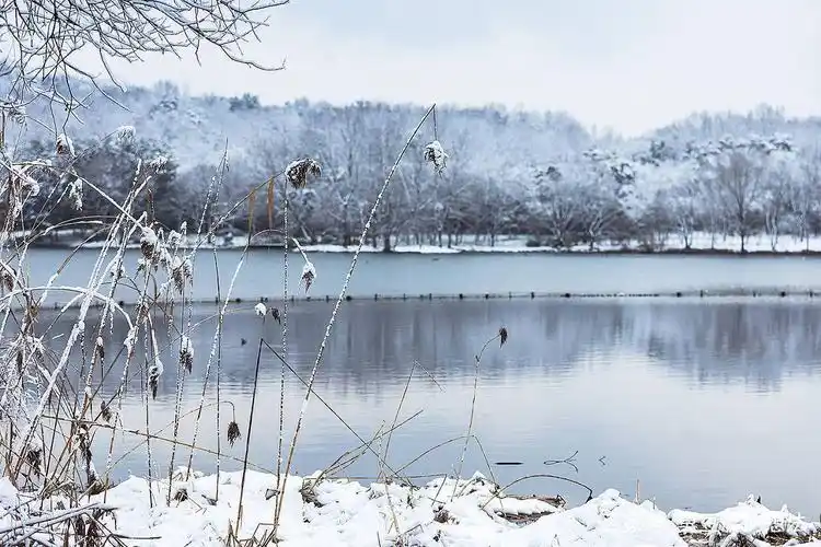 杭州第一场雪 西湖断桥残雪 美到心醉 今生一定要和爱的人去一次