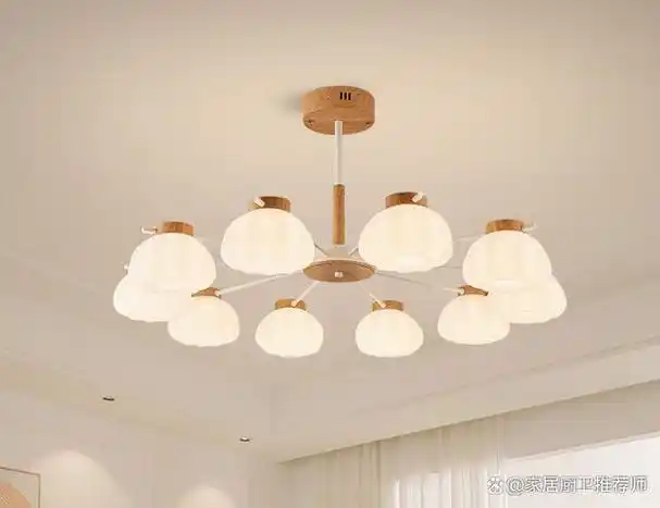 客厅吊灯的款式图片及价格大全