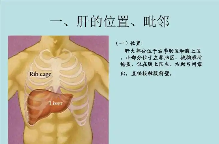 肝区疼痛不适可能是这5种情况该做什么检查医生告诉你