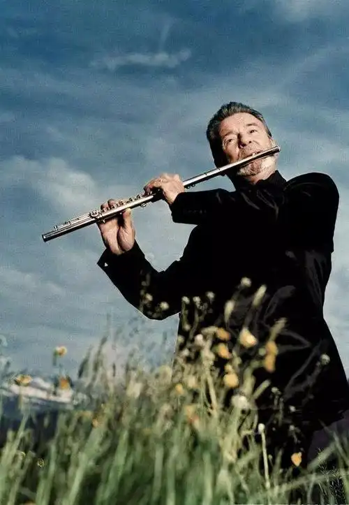 爱尔兰风情《danny boy|丹尼男孩》唯美长笛曲