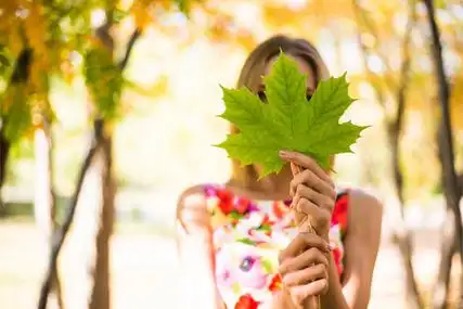 手拿枫叶的女孩子图片
