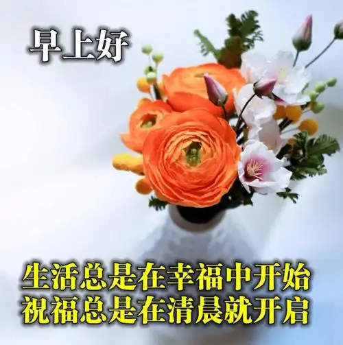 如今幸福的标准:健康平安着!