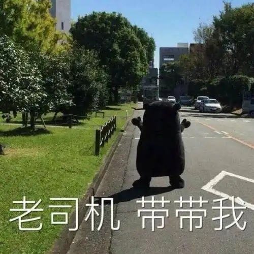 老司机带带我