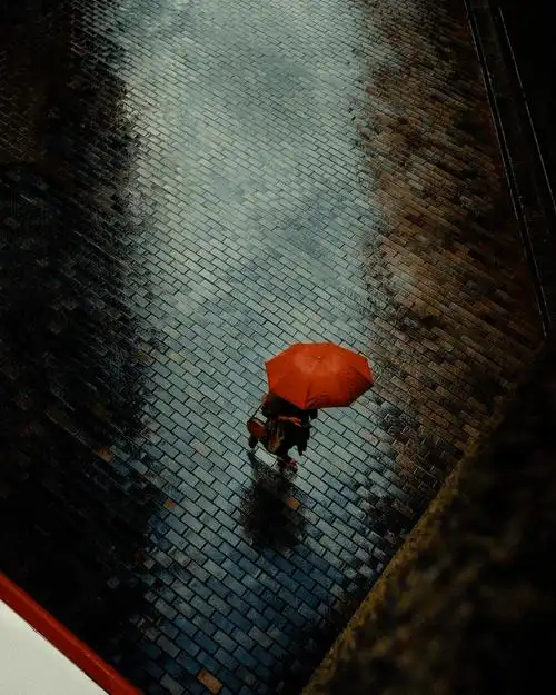 "城市是一个几百万人一起孤独生活的地方"_影像_色彩_er