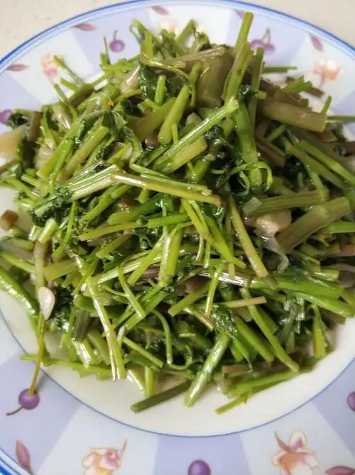 cheerup做的保健菜清炒野芹菜