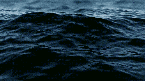 498_280gif 动态图 动图