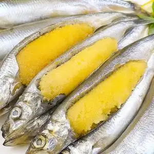 多春鱼满籽特大新鲜烧烤商用冰鲜带籽海鲜水产冷冻鲜活多籽鱼2斤