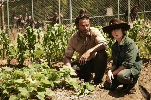 行尸走肉 第四季