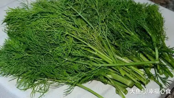 农村这种野菜是胃病的"克星",常吃可以温胃止泻,促进消化