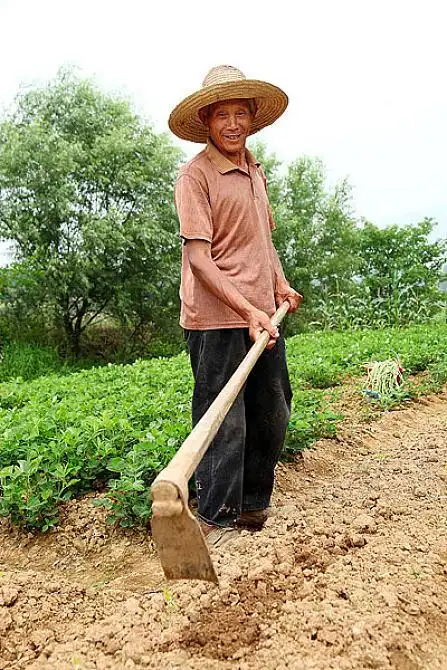 农民田间劳动图片_农民田间劳动图片素材_农民田间劳动图片大全_农民