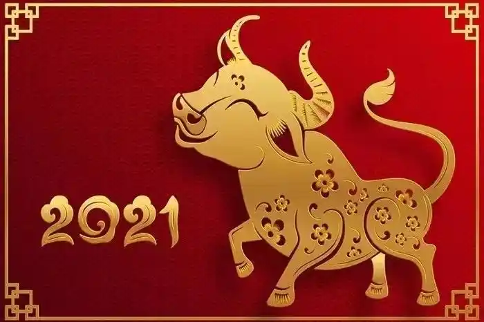 2021年牛转乾坤,大吉大利