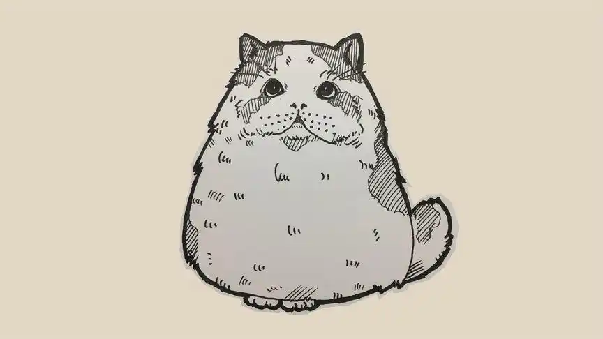 简笔画教程,如何画一只卖萌的布偶猫.