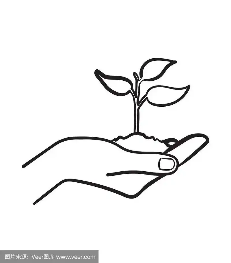 人的手与芽手绘草图图标