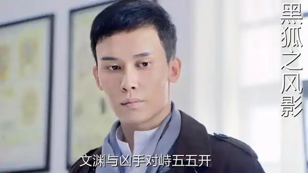 黑狐之风影张妈身亡王文渊和凶手交手可惜让人跑了