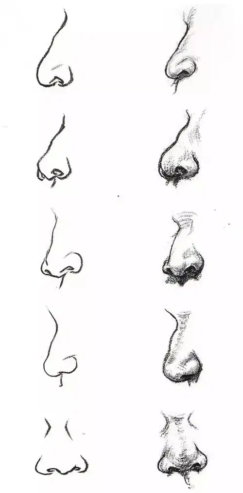 速写头部解析,教你如何画出五官神韵!