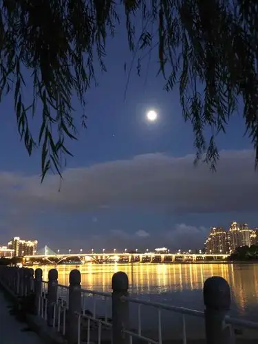 深夜里的影子(外一首)